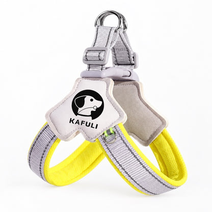 Dog Harness with Leash Set, No Pull Adjustable Reflective Step-in Puppy Harness with Thickened Padded Vest for Extra-Small/Small Medium Dogs