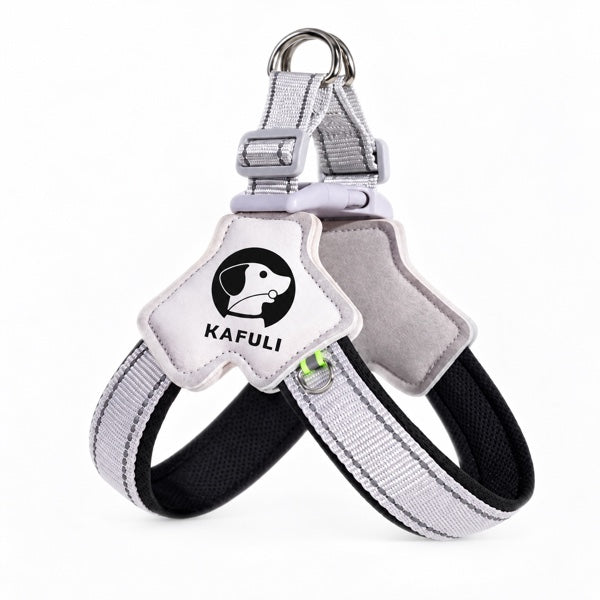 Dog Harness with Leash Set, No Pull Adjustable Reflective Step-in Puppy Harness with Thickened Padded Vest for Extra-Small/Small Medium Dogs