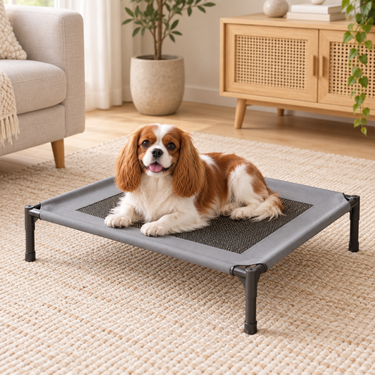 Waggory Elevated Dog Bed – Breathable Mesh Pet Cot