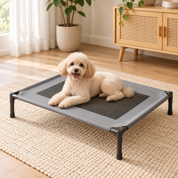 Waggory Elevated Dog Bed – Breathable Mesh Pet Cot