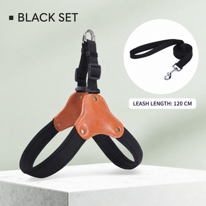 Dog Harness with Leash Set, No Pull Adjustable Reflective Step-in Puppy Harness with Thickened Padded Vest for Extra-Small/Small Medium Dogs