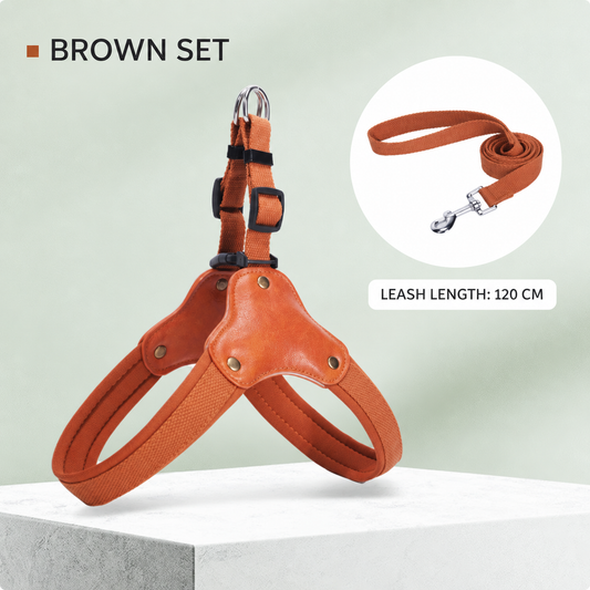 Dog Harness with Leash Set, No Pull Adjustable Reflective Step-in Puppy Harness with Thickened Padded Vest for Extra-Small/Small Medium Dogs